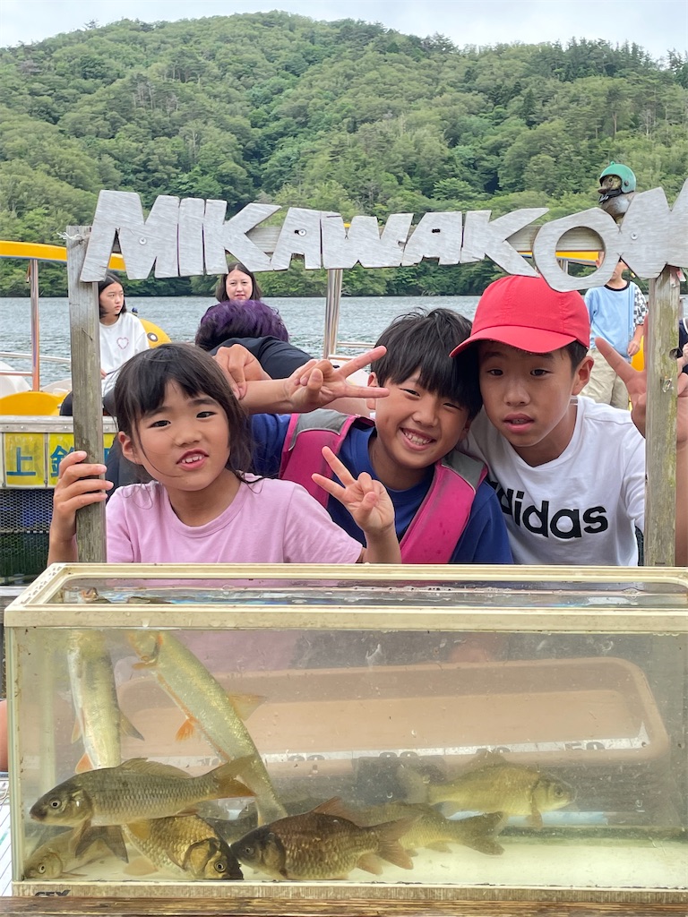 f:id:midorisuke:20240615174227j:image