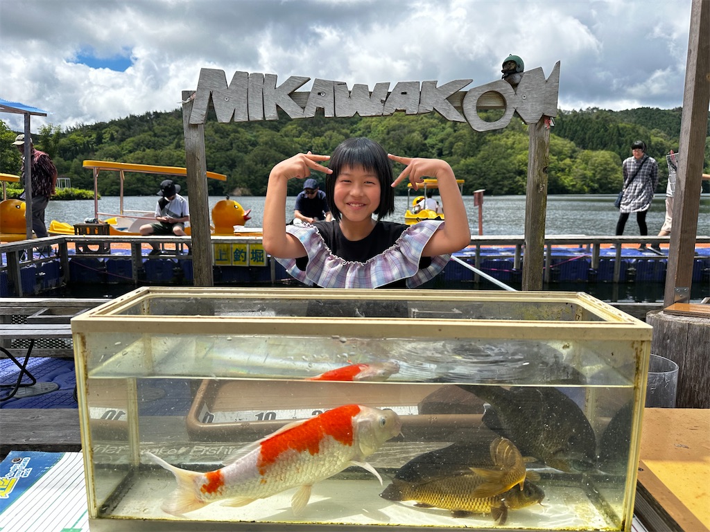 f:id:midorisuke:20240616113549j:image