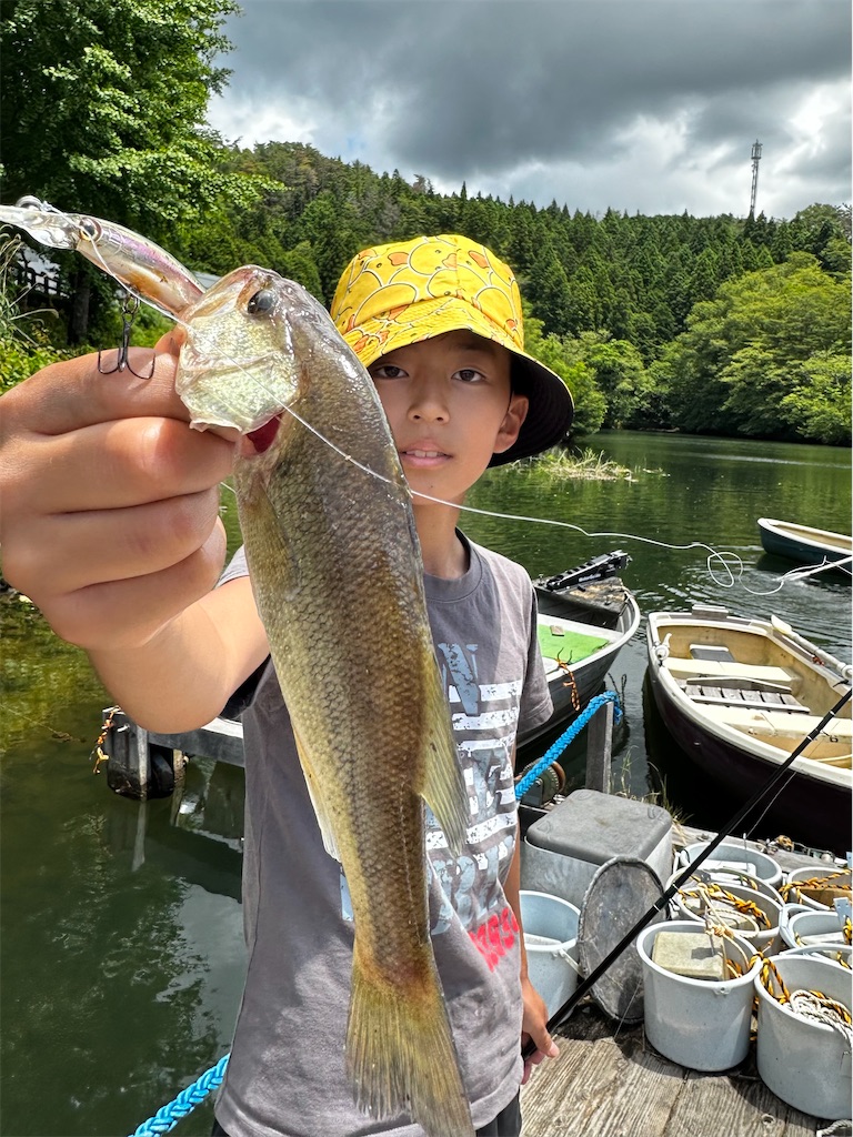 f:id:midorisuke:20240616120647j:image
