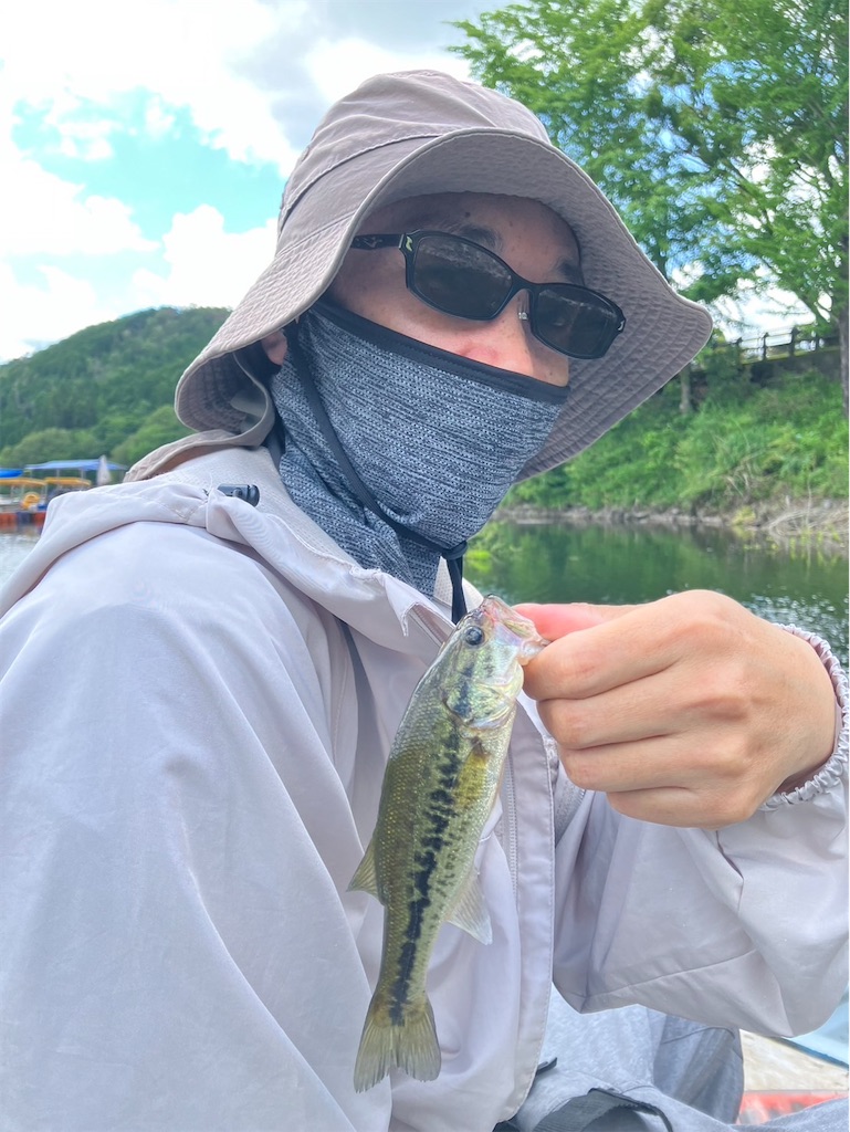 f:id:midorisuke:20240616153542j:image
