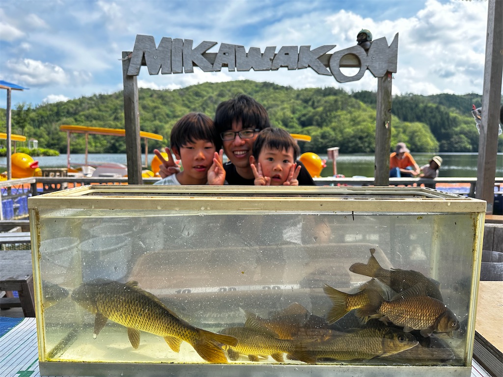 f:id:midorisuke:20240617053656j:image