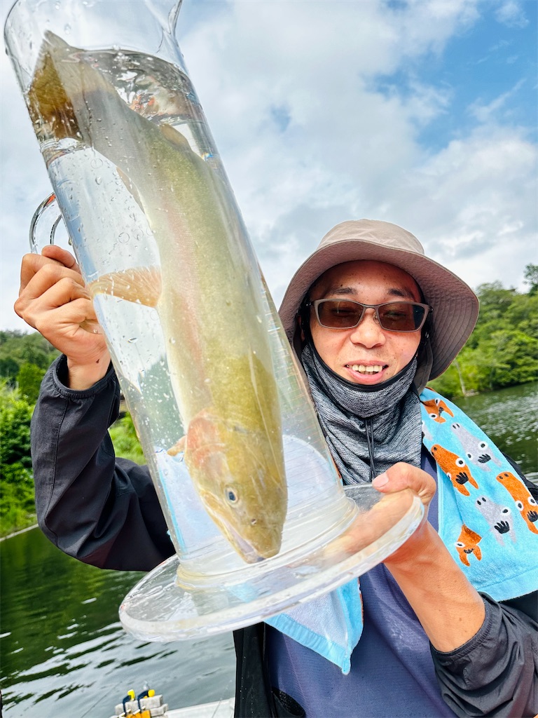 f:id:midorisuke:20240618134322j:image f:id:midorisuke:20240618134322j:image