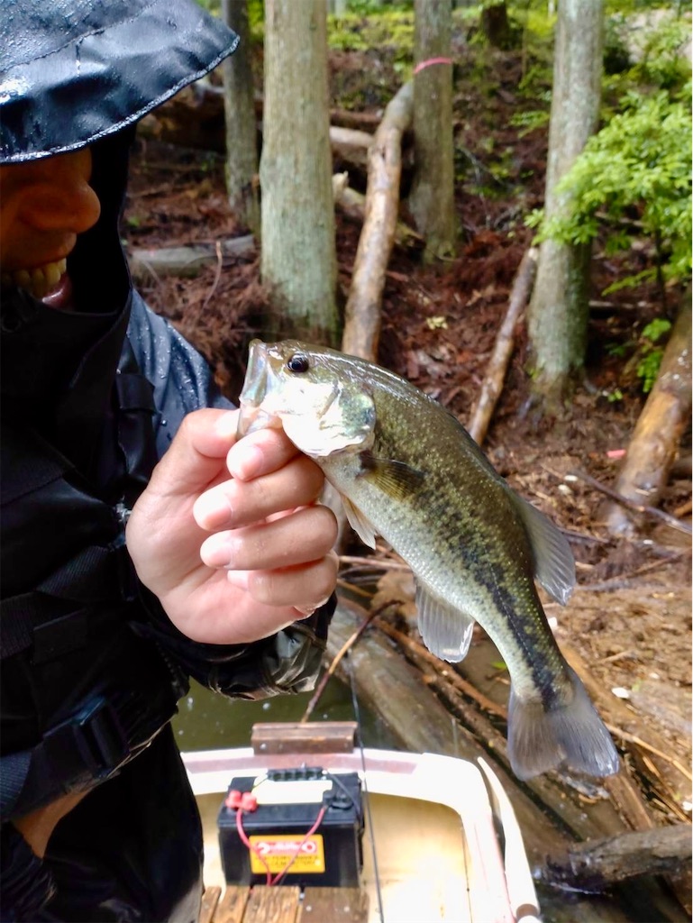 f:id:midorisuke:20240621131327j:image