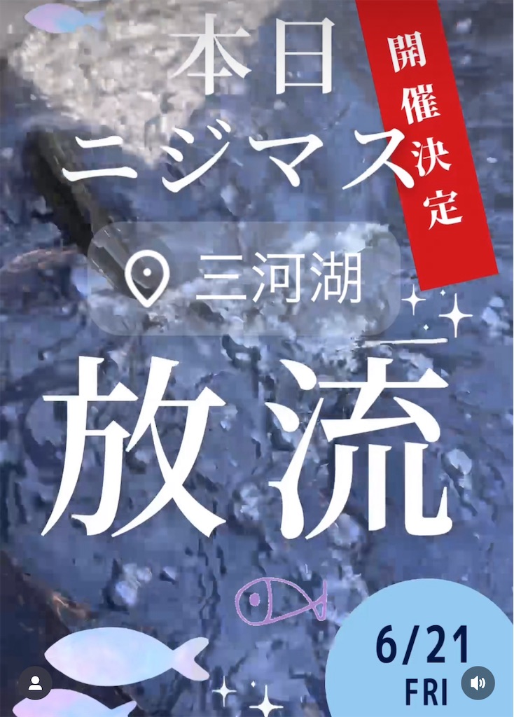 f:id:midorisuke:20240621160500j:image