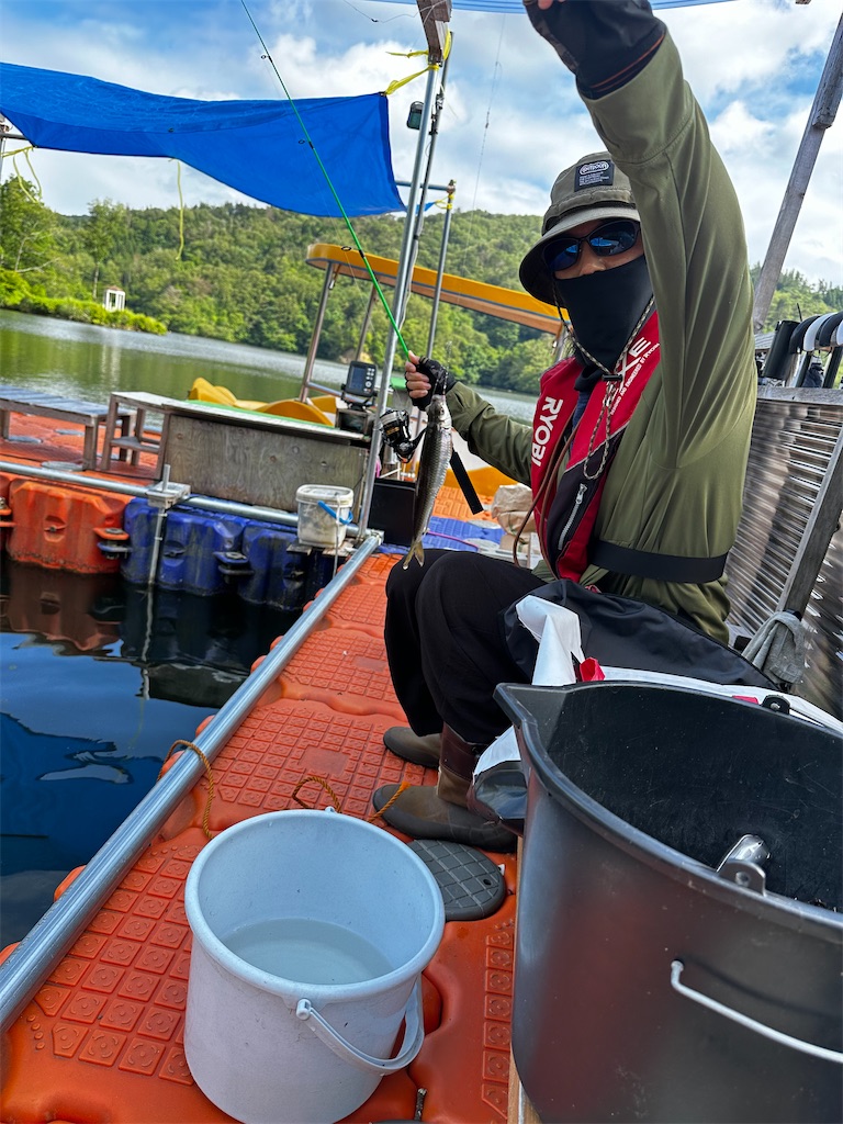 f:id:midorisuke:20240621160604j:image