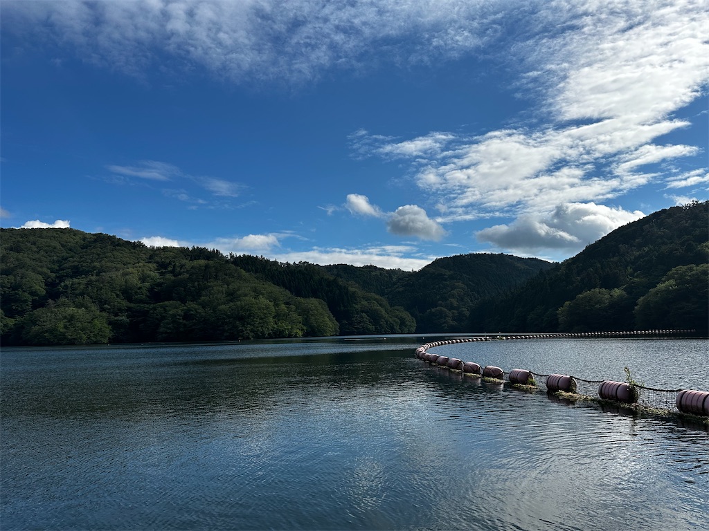 f:id:midorisuke:20240621160711j:image