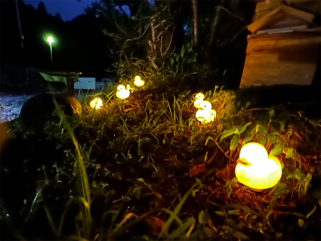 f:id:midorisuke:20240912205842j:image