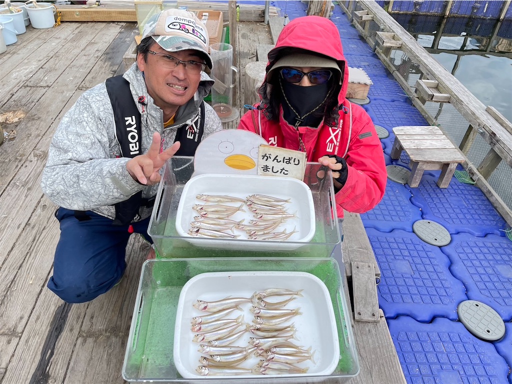 f:id:midorisuke:20250424062138j:image