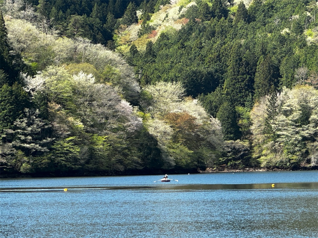 f:id:midorisuke:20250424093037j:image