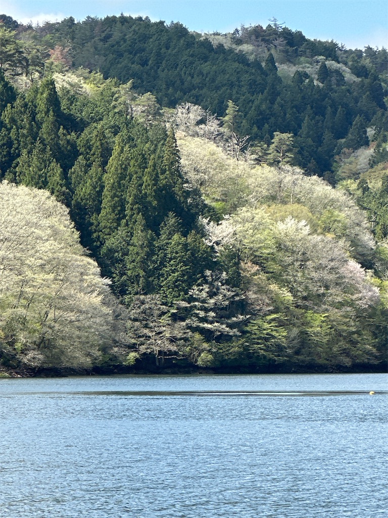 f:id:midorisuke:20250424093214j:image