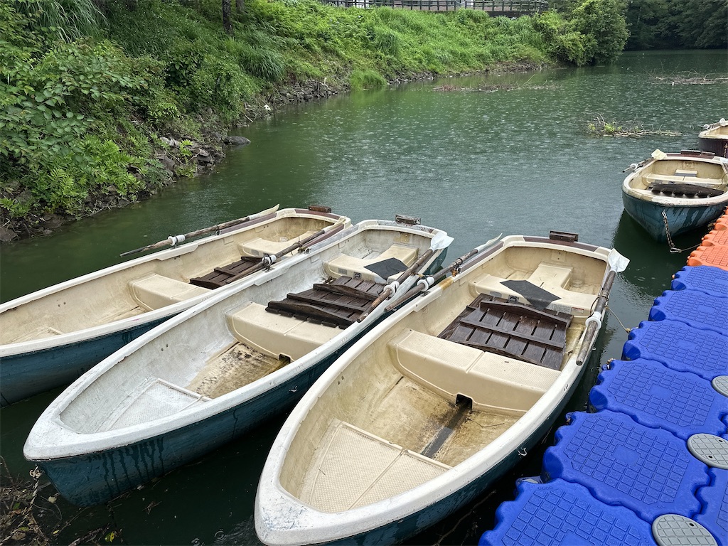 f:id:midorisuke:20250626151419j:image f:id:midorisuke:20250626151419j:image