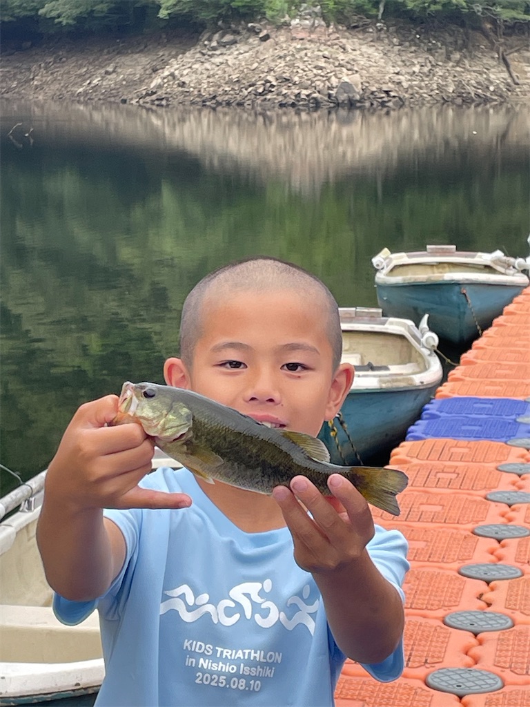 f:id:midorisuke:20250810183121j:image f:id:midorisuke:20250810183121j:image