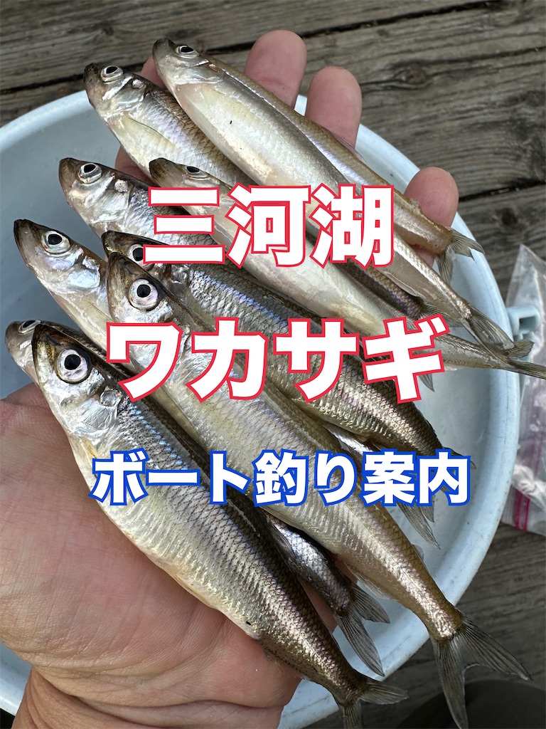 f:id:midorisuke:20251114073019j:image f:id:midorisuke:20251114073019j:image
