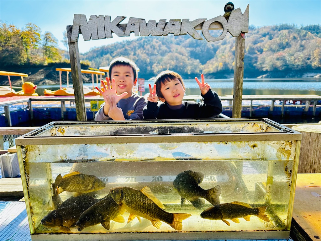 f:id:midorisuke:20251116062003j:image