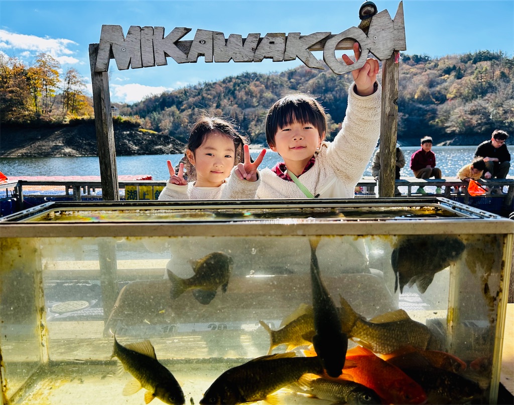 f:id:midorisuke:20251122114752j:image