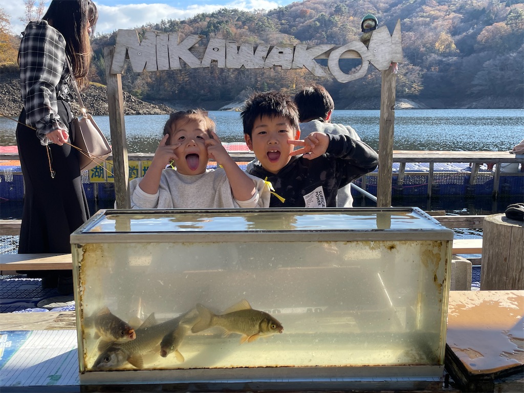 f:id:midorisuke:20251122142741j:image