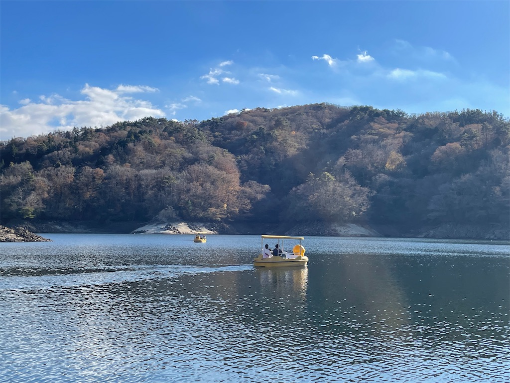 f:id:midorisuke:20251122142803j:image