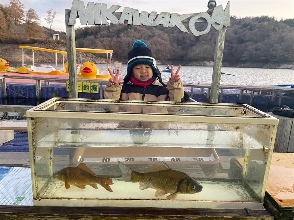 f:id:midorisuke:20251122171610j:image