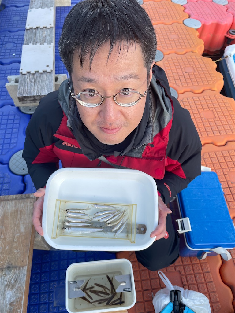 f:id:midorisuke:20251122174842j:image