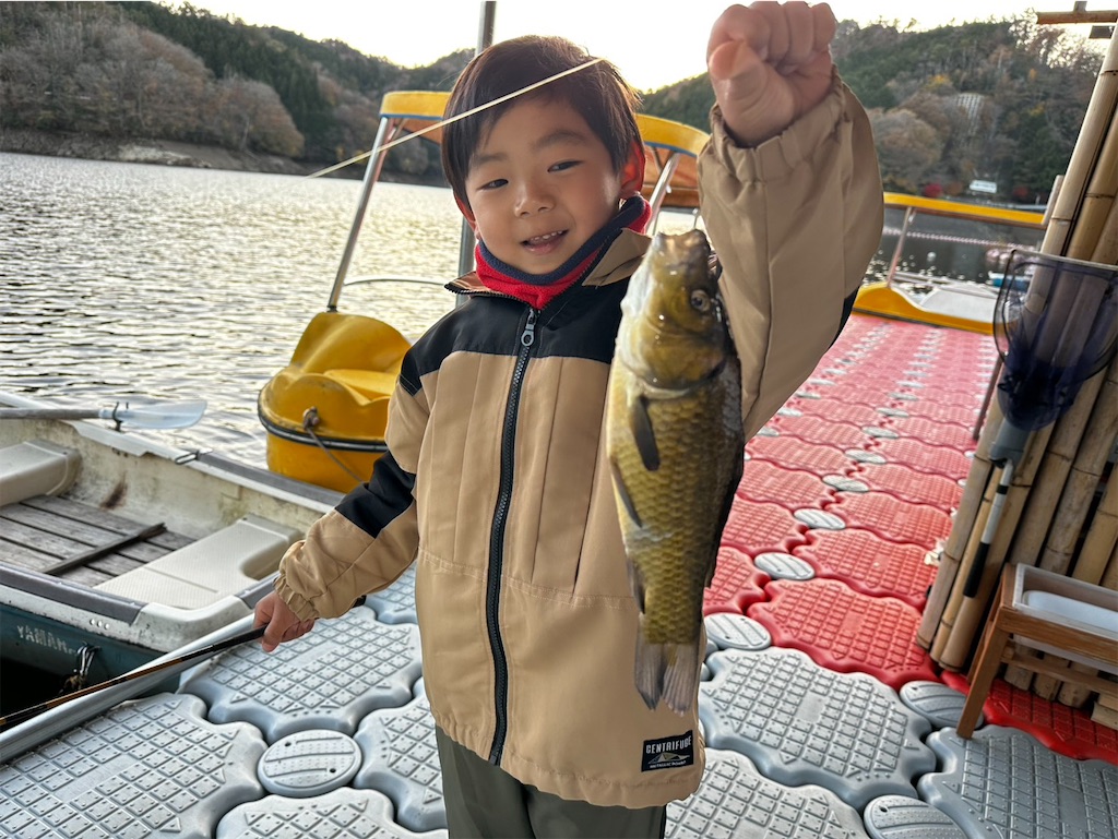 f:id:midorisuke:20251122180933j:image