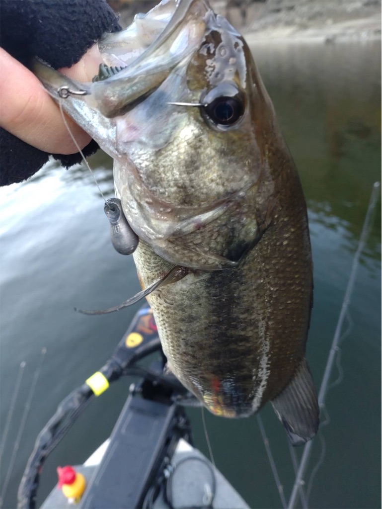 f:id:midorisuke:20251122181838j:image