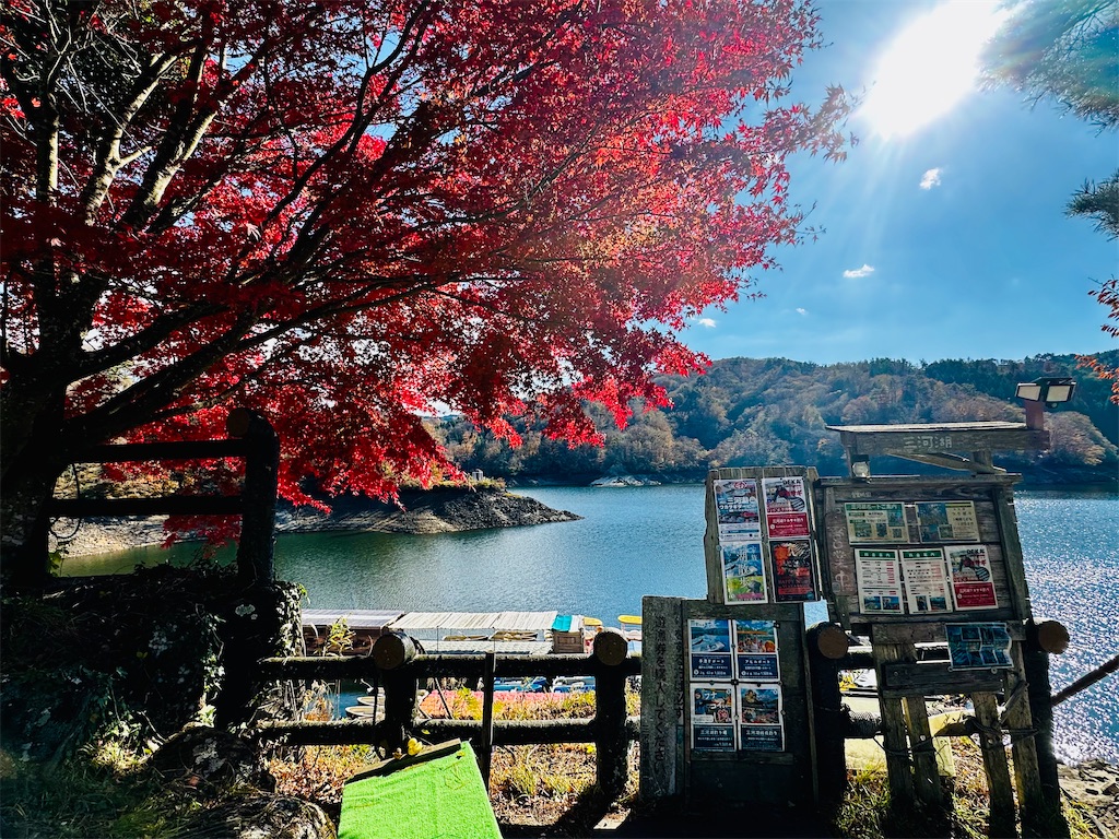 f:id:midorisuke:20251122193037j:image