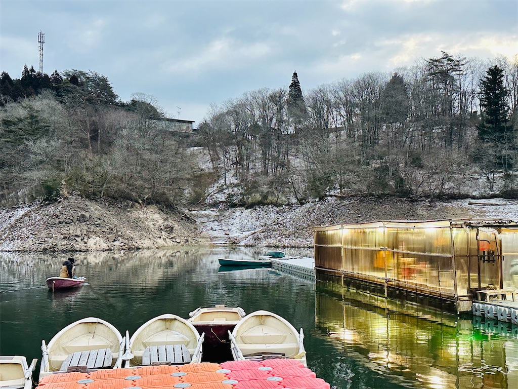 f:id:midorisuke:20260124081708j:image