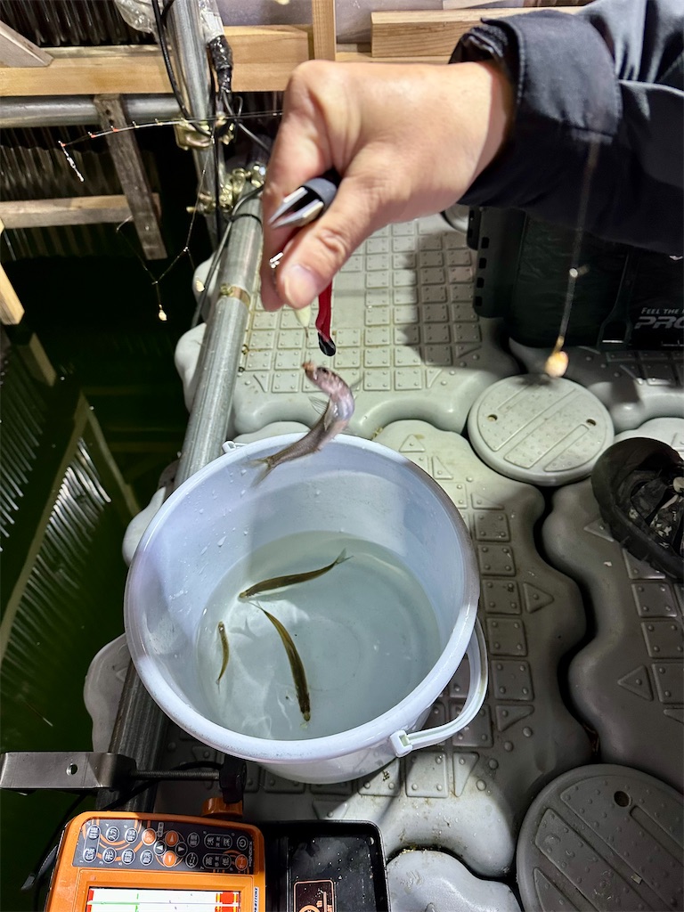 f:id:midorisuke:20260124081725j:image