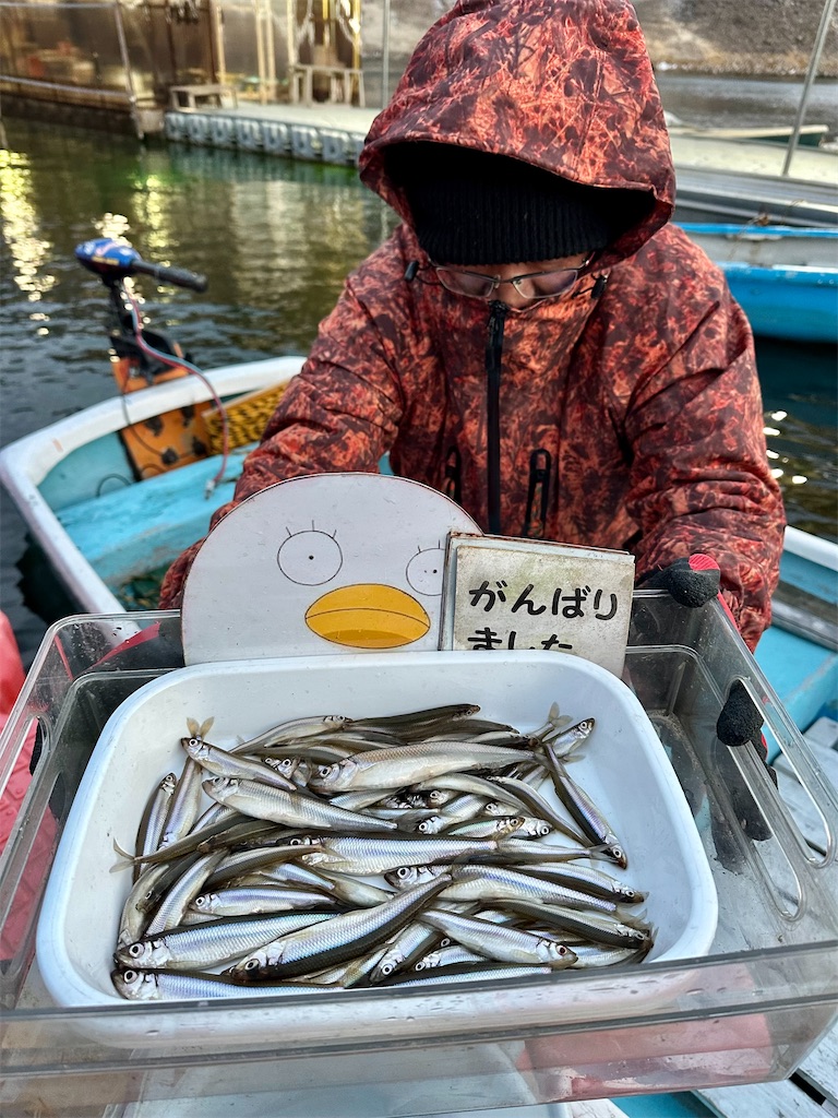 f:id:midorisuke:20260124174841j:image