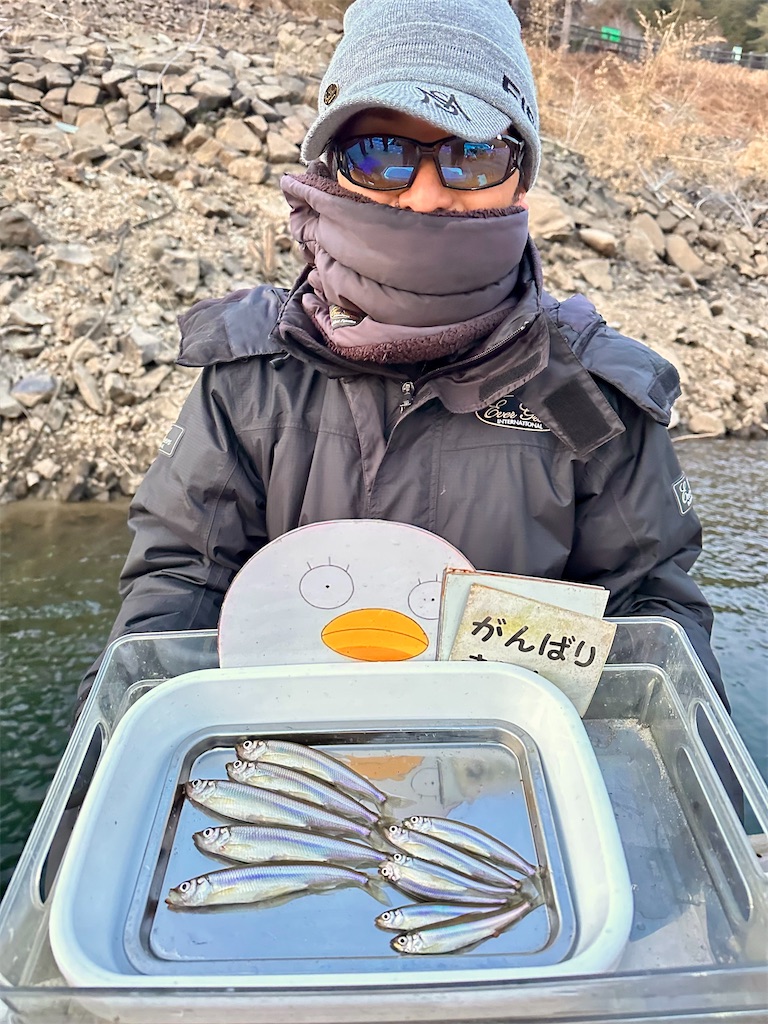 f:id:midorisuke:20260124174946j:image