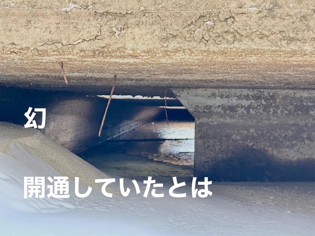 f:id:midorisuke:20260130104614j:image
