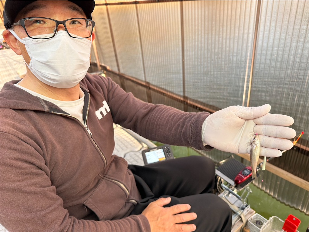 f:id:midorisuke:20260418191817j:image
