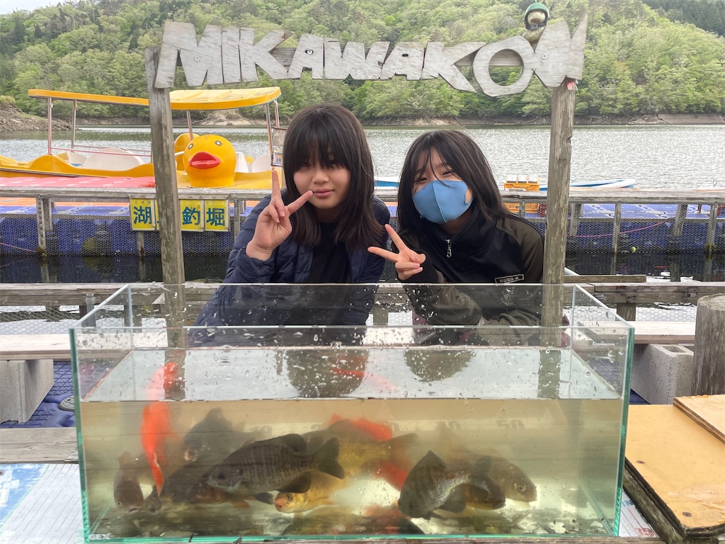f:id:midorisuke:20260426173353j:image