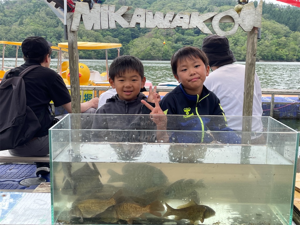 f:id:midorisuke:20260614174042j:image