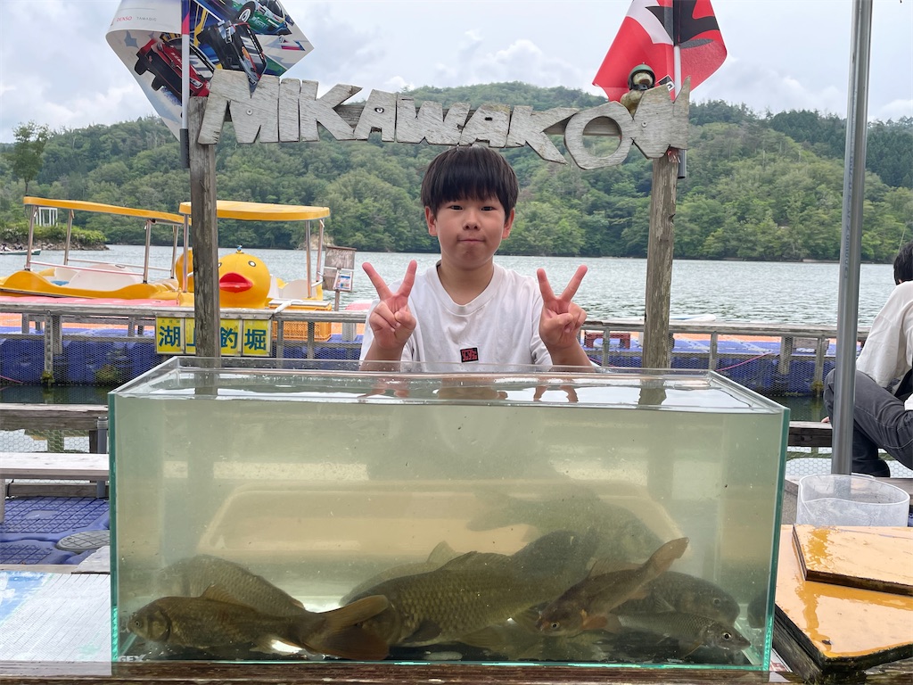 f:id:midorisuke:20260614174124j:image