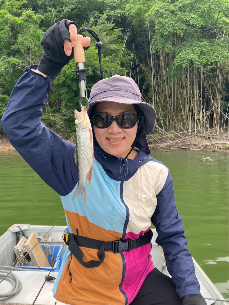 f:id:midorisuke:20260614175710j:image