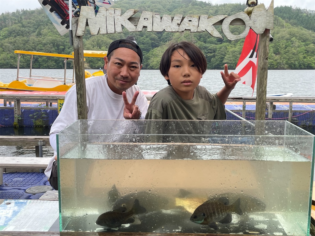 f:id:midorisuke:20260705173245j:image f:id:midorisuke:20260705173245j:image