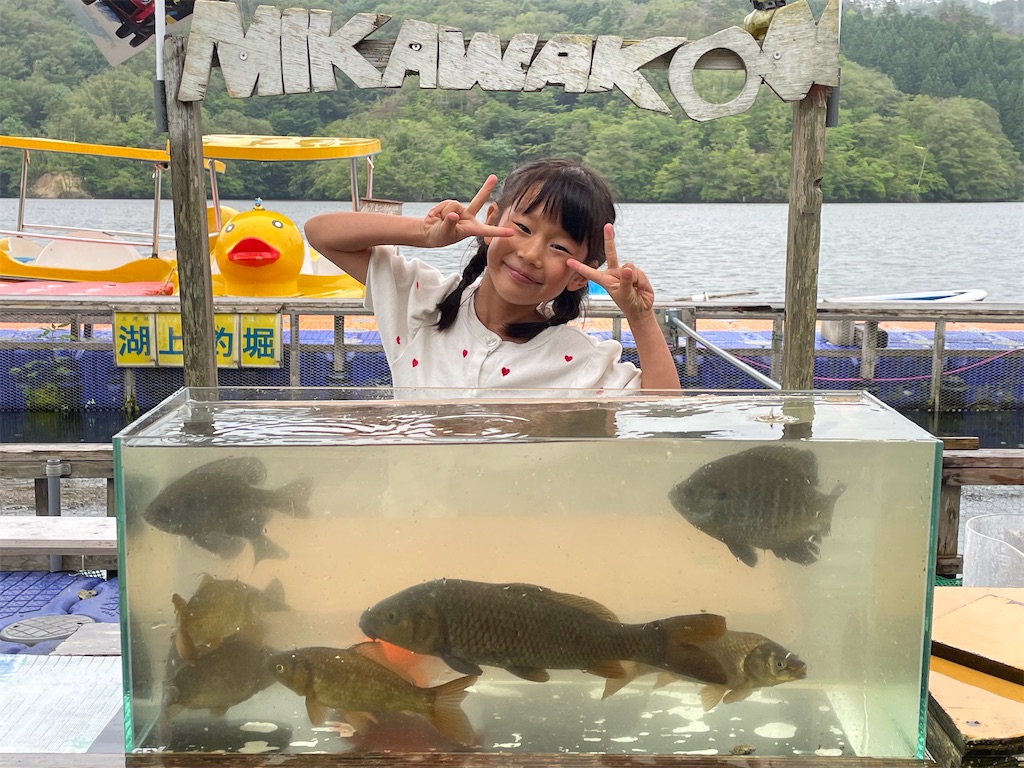 f:id:midorisuke:20260705173255j:image f:id:midorisuke:20260705173255j:image