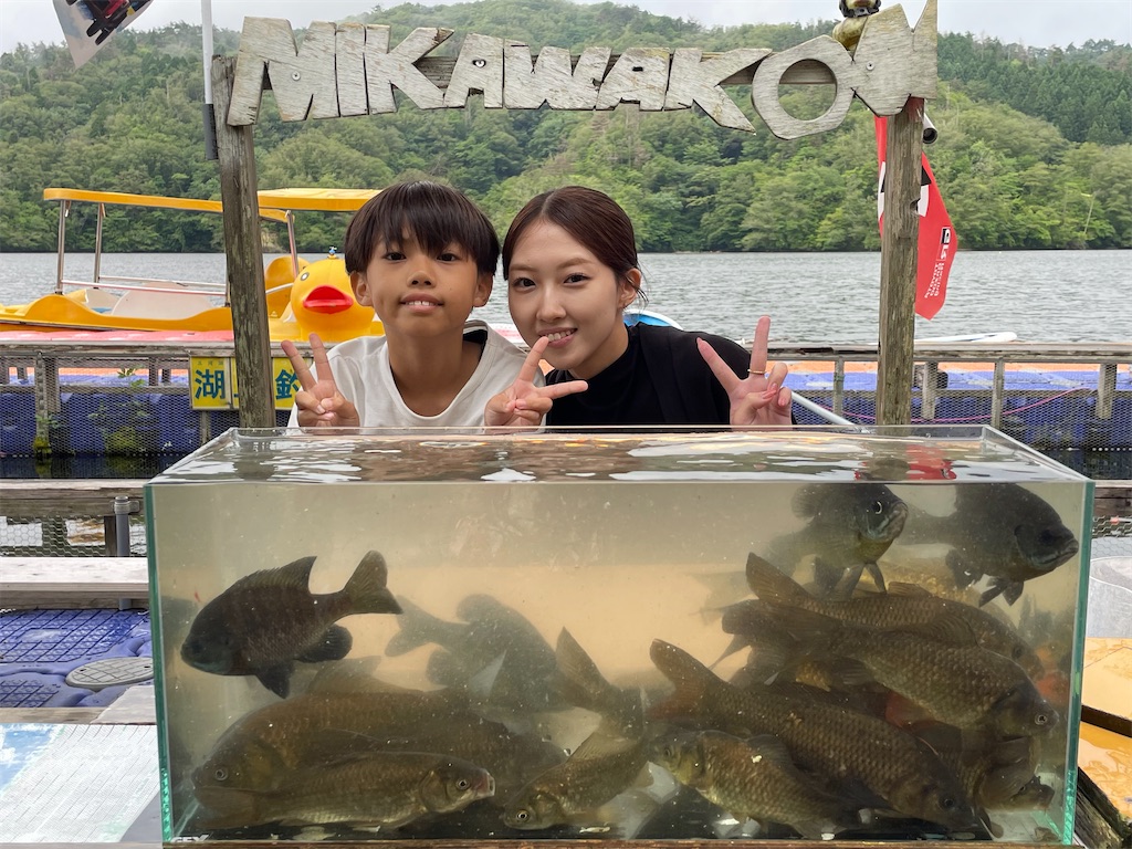 f:id:midorisuke:20260705173301j:image f:id:midorisuke:20260705173301j:image