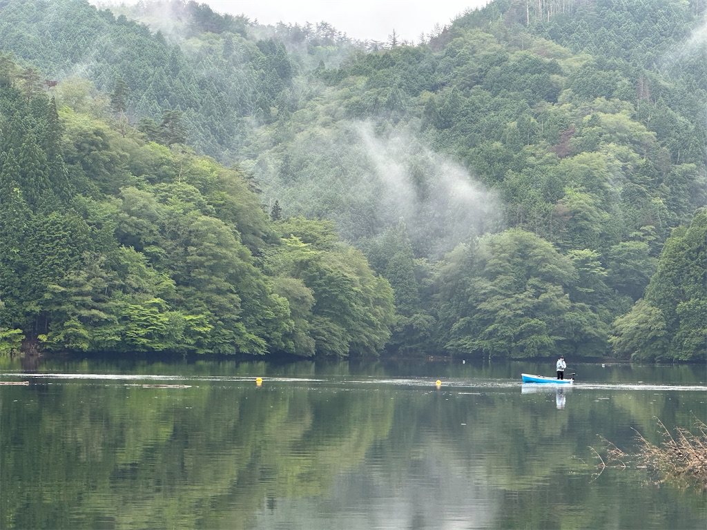 f:id:midorisuke:20260705181612j:image f:id:midorisuke:20260705181612j:image