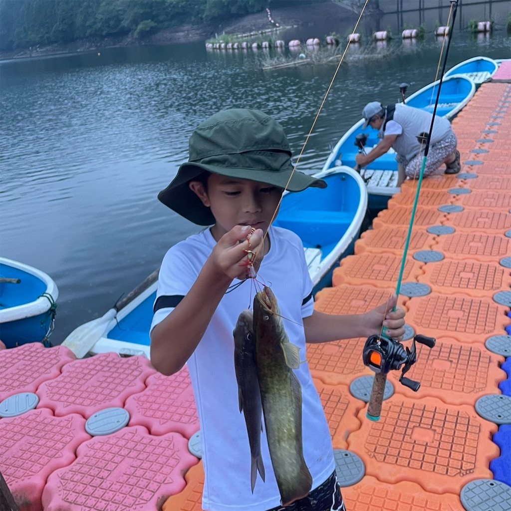 f:id:midorisuke:20260811093425j:image