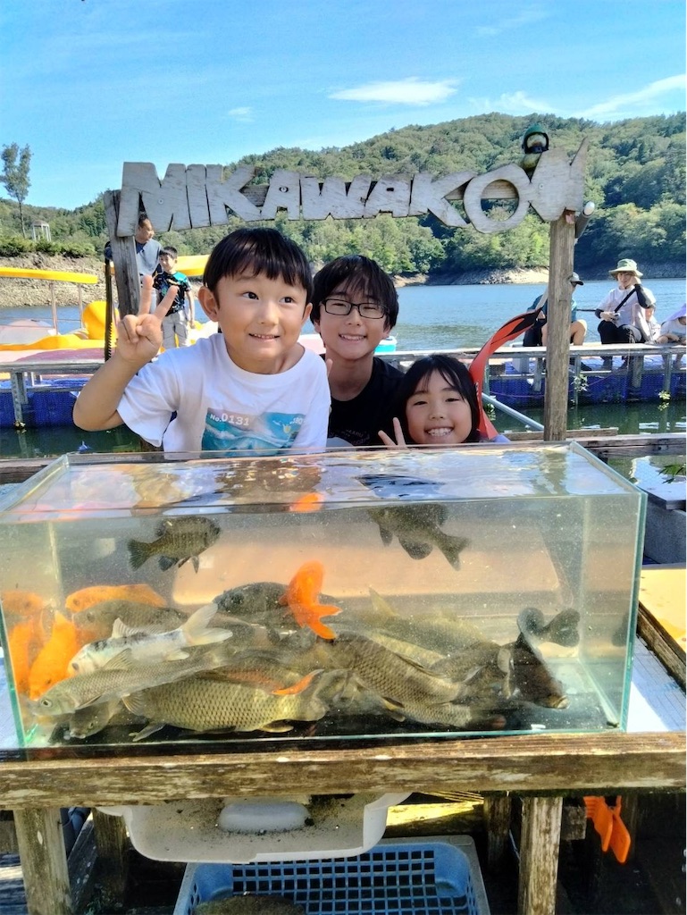 f:id:midorisuke:20260811155137j:image