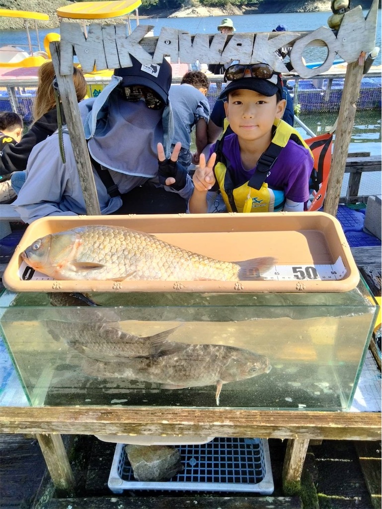 f:id:midorisuke:20260811155439j:image