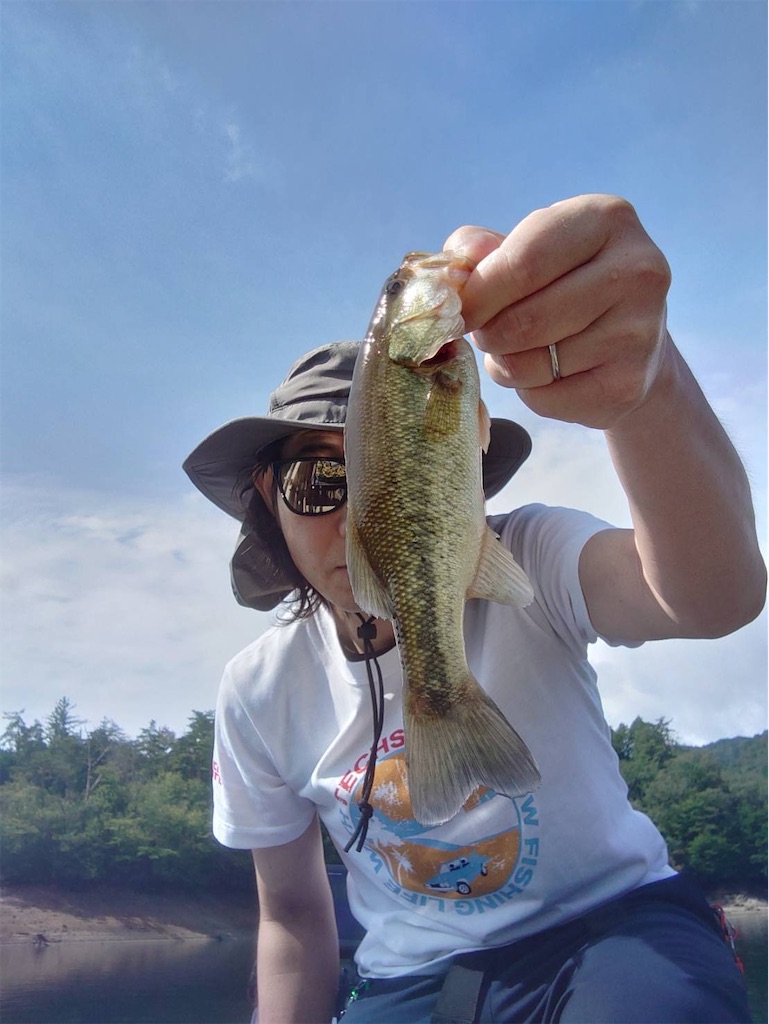 f:id:midorisuke:20260811195948j:image