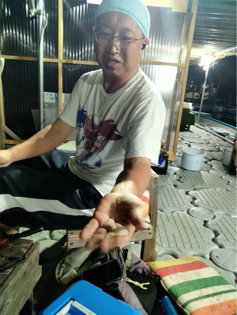 f:id:midorisuke:20260811210105j:image