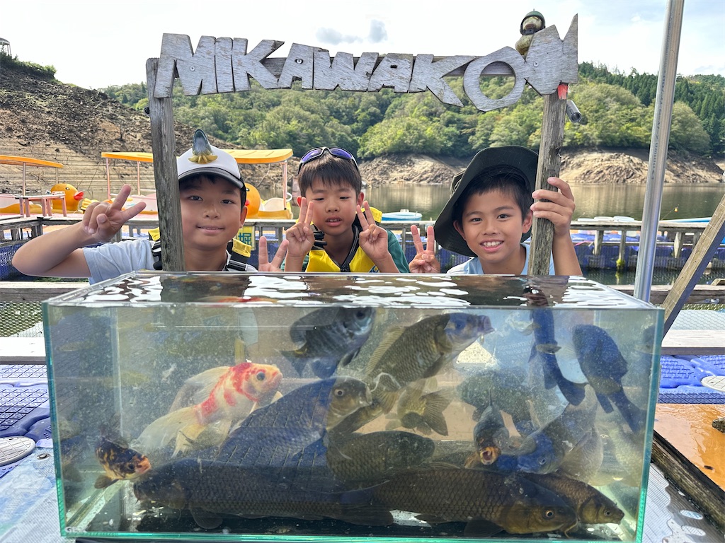 f:id:midorisuke:20260905105334j:image f:id:midorisuke:20260905105334j:image