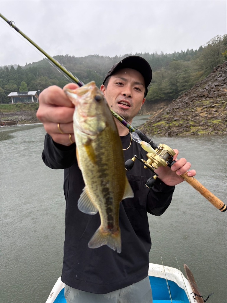 f:id:midorisuke:20260927180207j:image