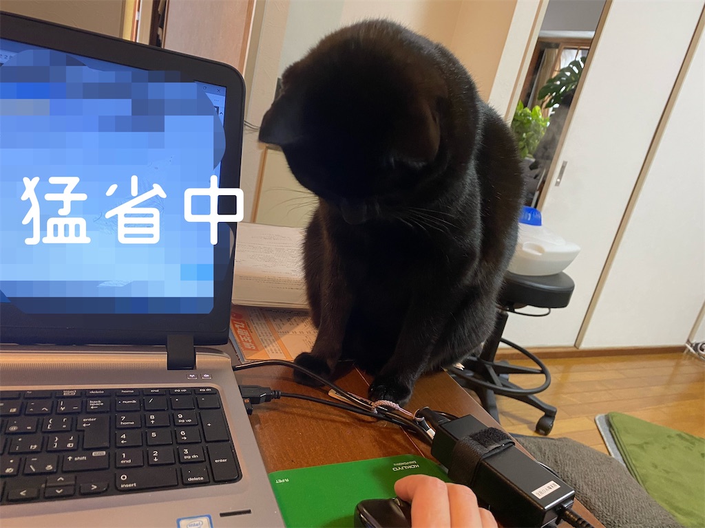f:id:midranger999:20220118211927j:image f:id:midranger999:20220118211927j:image