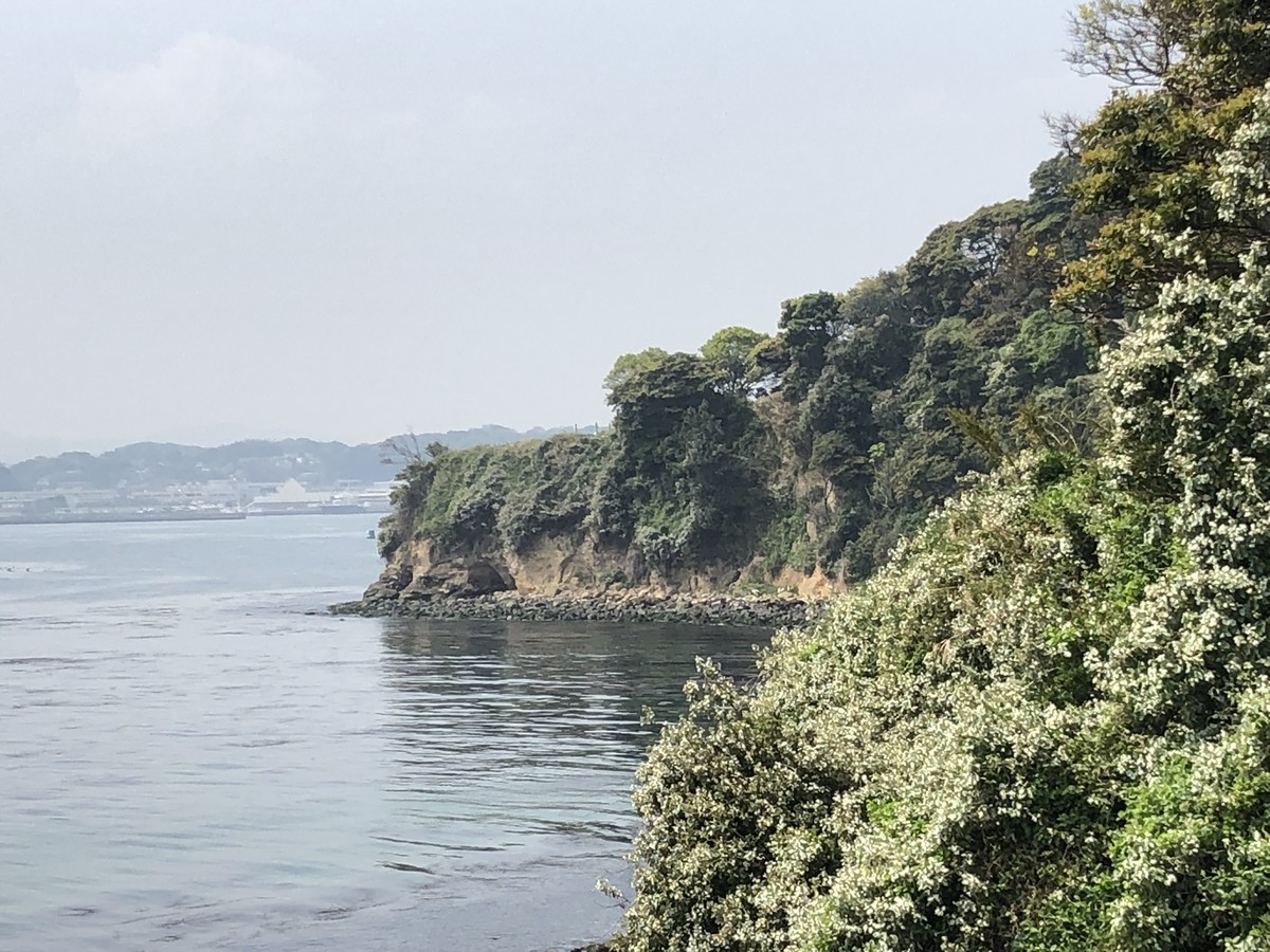 f:id:miduna:20190422100046j:plain f:id:miduna:20190422100046j:plain
