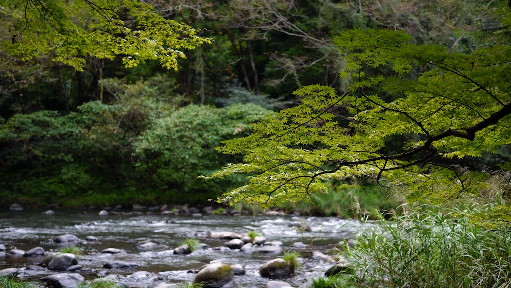 f:id:midunoiro:20200923230828j:image f:id:midunoiro:20200923230828j:image